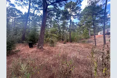 Lot 85 Hill Ridge Drive, Bastrop, TX 78602 - Photo 4