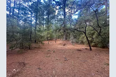 Lot 85 Hill Ridge Drive, Bastrop, TX 78602 - Photo 14