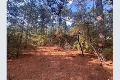 Lot 85 Hill Ridge Drive, Bastrop, TX 78602 - Photo 1