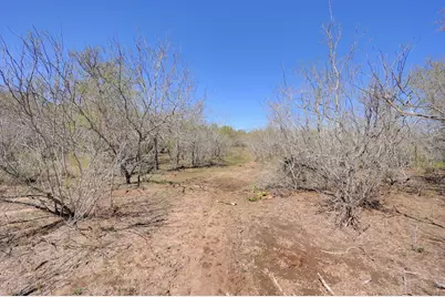 000 Cr 420, Waelder, TX 78959 - Photo 8