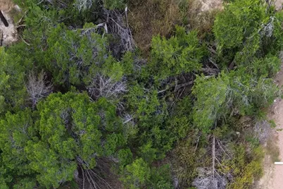 13912 Saskatchewan Drive, Austin, TX 78734 - Photo 4