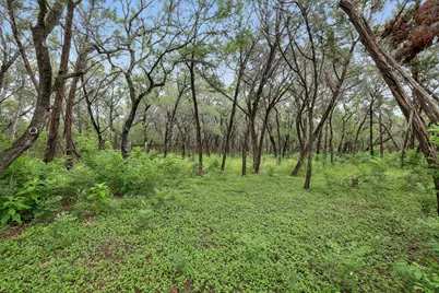 12403 Shady Acres Drive, Buda, TX 78610 - Photo 4