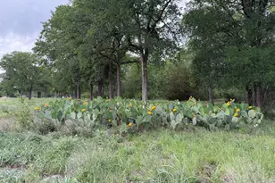 11707 Shoshone Dr, Austin, TX 78759 - Photo 34