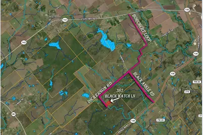 387 Black Watch Lane, Lockhart, TX 78644 - Photo 4