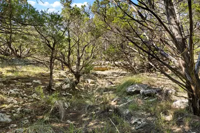 Tbd Stagecoach Ranch Road, Dripping Springs, TX 78620 - Photo 6
