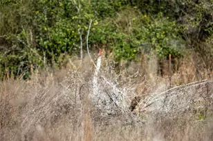 6498 N Hwy 35, Rockport, TX 78382 - Photo 10