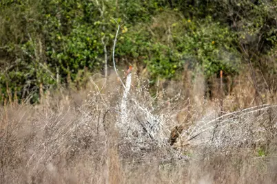 6498 N Hwy 35, Rockport, TX 78382 - Photo 40