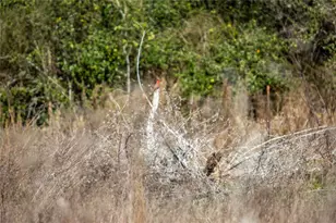 6498 N Hwy 35, Rockport, TX 78382 - Photo 40