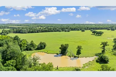 1010 Saint Delight Road, Paige, TX 78659 - Photo 6