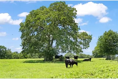 1010 Saint Delight Road, Paige, TX 78659 - Photo 8