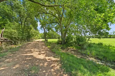 1010 Saint Delight Road, Paige, TX 78659 - Photo 30