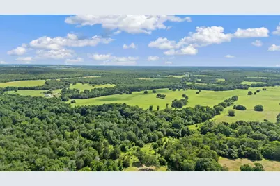 1010 Saint Delight Road, Paige, TX 78659 - Photo 38