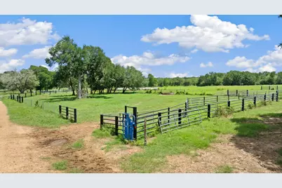 1010 Saint Delight Road, Paige, TX 78659 - Photo 4