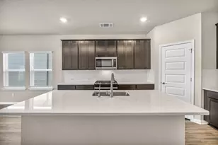 393 El Capitan Loop, Dripping Springs, TX 78620 - Photo 8