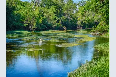 1412 Paxton Lane, Florence, TX 78633 - Photo 6