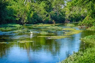 1412 Paxton Ln, Florence, TX 78633 - Photo 6
