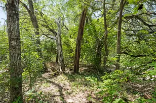 509 Kingfisher Creek Dr, Austin, TX 78748 - Photo 40