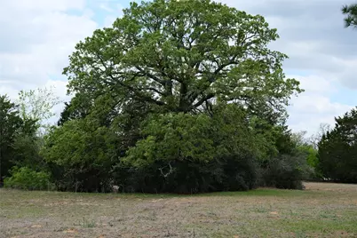 446 Herron Trail, McDade, TX 78650 - Photo 26