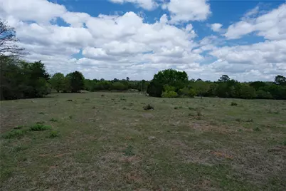 446 Herron Trail, McDade, TX 78650 - Photo 4