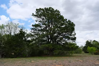 446 Herron Trail, McDade, TX 78650 - Photo 28
