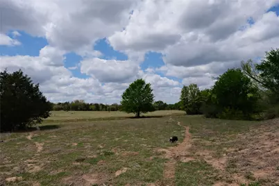 446 Herron Trail, McDade, TX 78650 - Photo 12