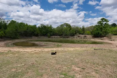 446 Herron Trail, McDade, TX 78650 - Photo 10
