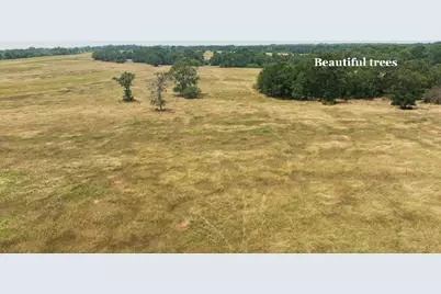 475 County Line Road, Dale, TX 78616 - Photo 6