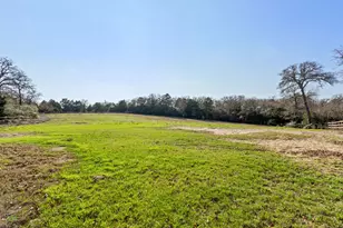 180 Bradley Ln, Rosanky, TX 78953 - Photo 28