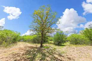 340 Red Hawk Dr, Dale, TX 78616 - Photo 34