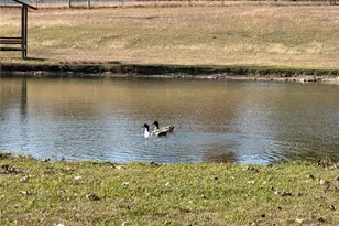 2035 Borchert Loop, Lockhart, TX 78644 - Photo 22