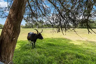 730 Sarah Jo St, La Grange, TX 78945 - Photo 30