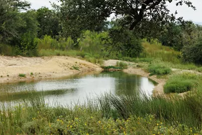 Lot 13 Ridgeway Trail, Johnson City, TX 78636 - Photo 6