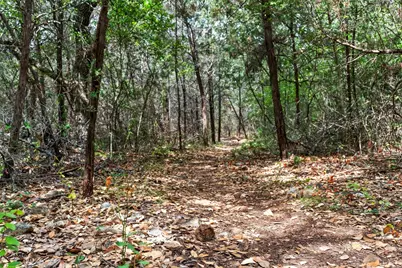 Tbd Escarpment Boulevard, Austin, TX 78739 - Photo 8