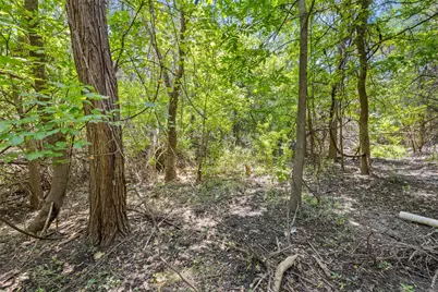 1812 Miami Drive, Austin, TX 78733 - Photo 8