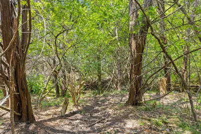 1812 Miami Drive, Austin, TX 78733 - Photo 6