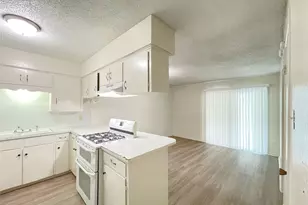 904 N Meadows Dr, Austin, TX 78758 - Photo 16