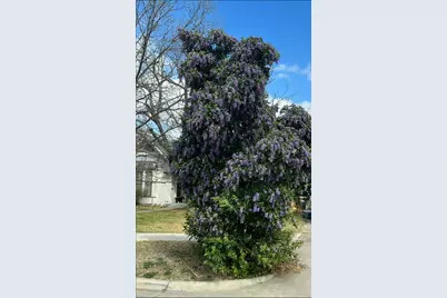 505 E 8th Street, Georgetown, TX 78626 - Photo 6