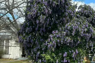 505 E 8th St, Georgetown, TX 78626 - Photo 6