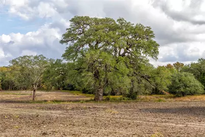 Tbd Ladewig Lane, Schulenburg, TX 78956 - Photo 8