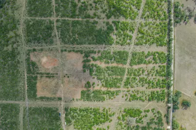 Tbd Lot 3 Young Lane, Lockhart, TX 78662 - Photo 4