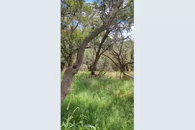 757 Rabbit Avenue, Wimberley, TX 78676 - Photo 8