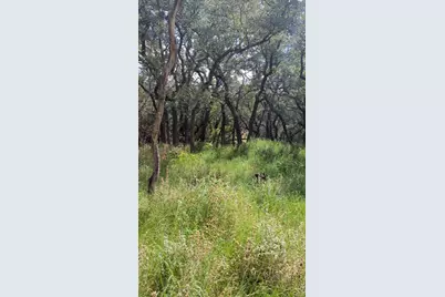757 Rabbit Avenue, Wimberley, TX 78676 - Photo 6