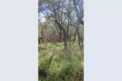 757 Rabbit Avenue, Wimberley, TX 78676 - Photo 8