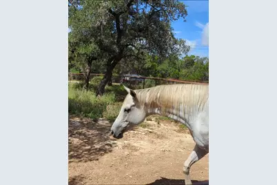 757 Rabbit Avenue, Wimberley, TX 78676 - Photo 10