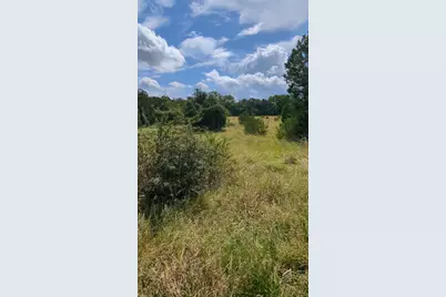 757 Rabbit Avenue, Wimberley, TX 78676 - Photo 12