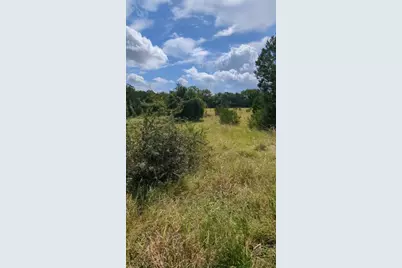 757 Rabbit Avenue, Wimberley, TX 78676 - Photo 12