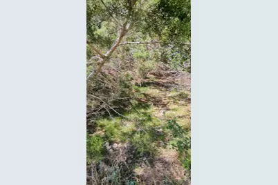 757 Rabbit Avenue, Wimberley, TX 78676 - Photo 14