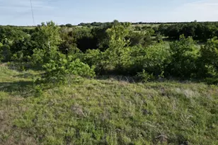 Lot 37 Serenity Dr, Bertram, TX 78605 - Photo 4