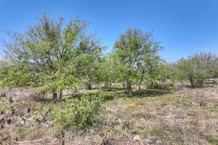 309 Oakwood Loop, San Marcos, TX 78666 - Photo 34