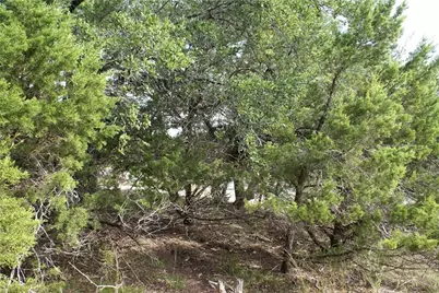 Lot 31 Panorama Drive, Dripping Springs, TX 78620 - Photo 4